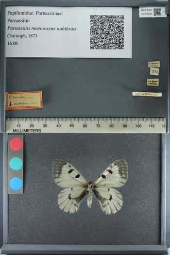 Media type: image;   Entomology 180090